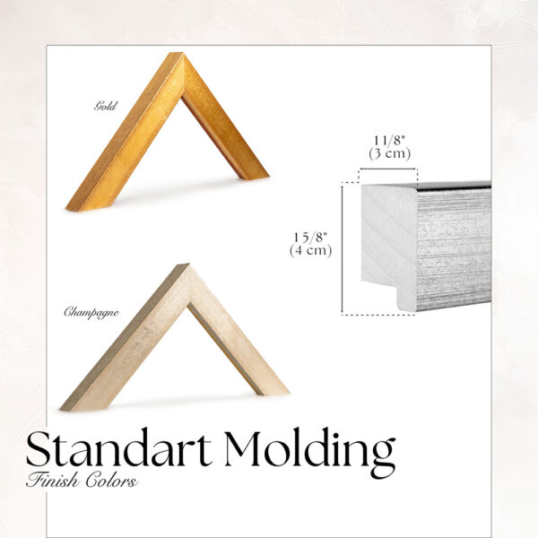 Thin Metallic TV Frame Samples