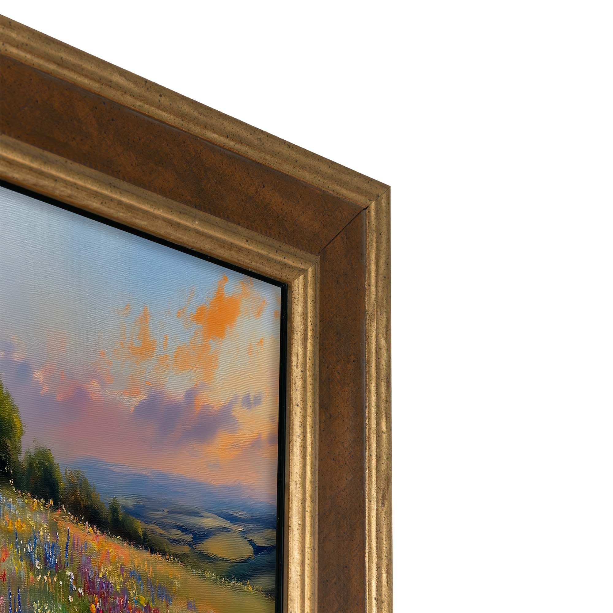 Brown and Double Gold TV Frame