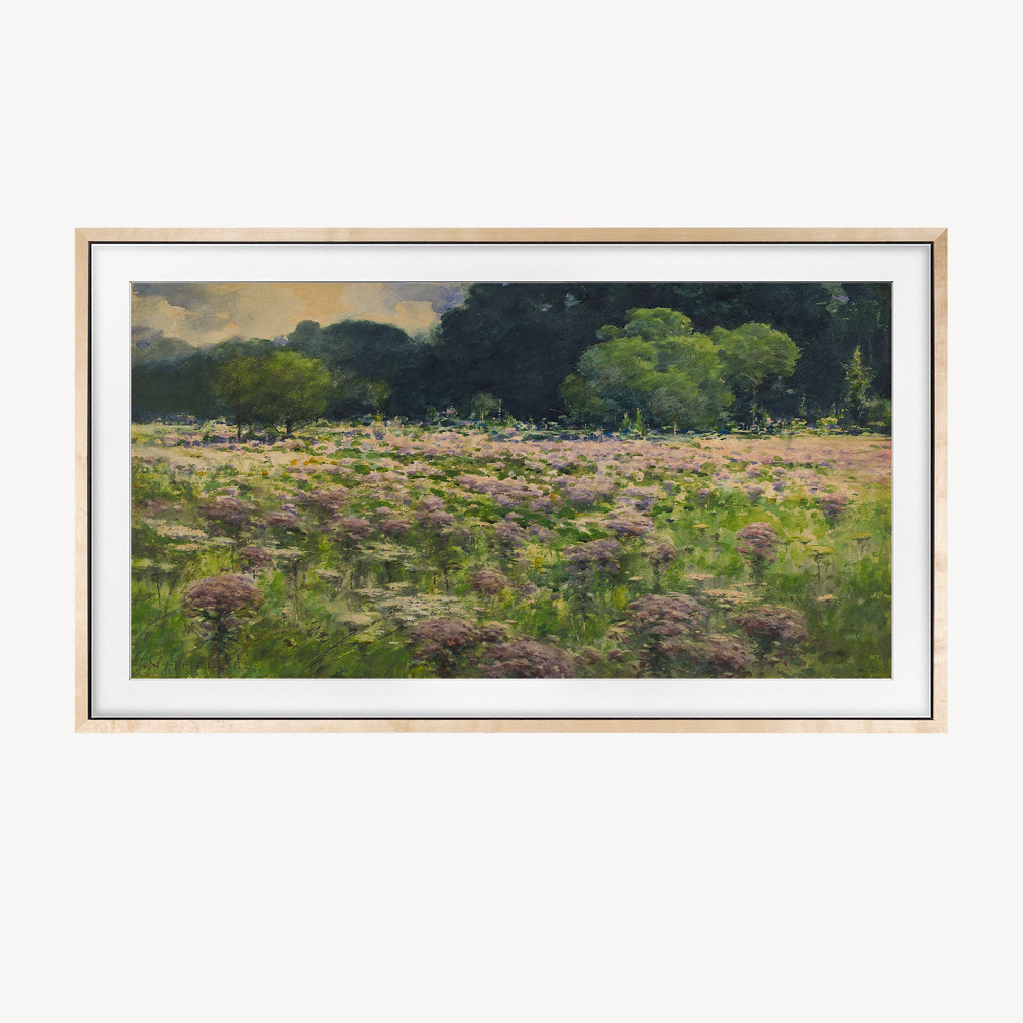 Birch Hardwood TV Bezel for Samsung The Frame TV