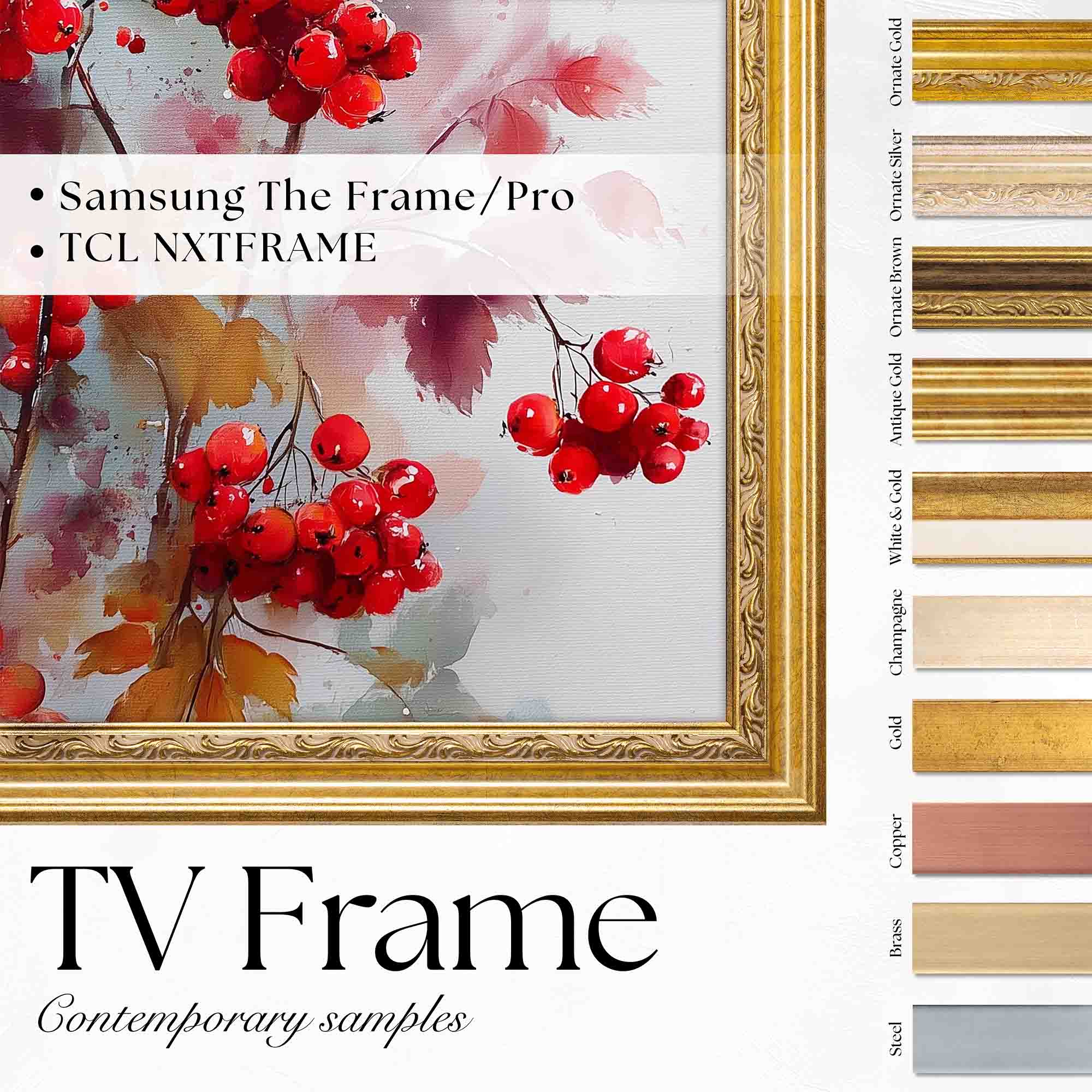 Thin Metallic TV Frame Samples