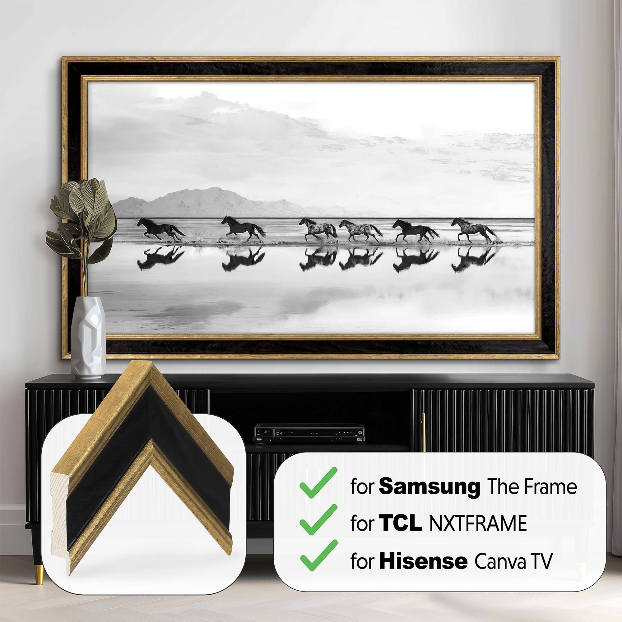 Black and Double Gold TV Frame
