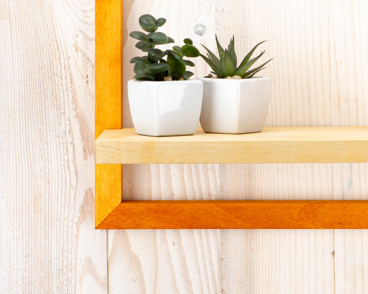 Orange wooden birch natural home decor framed shelf holding plants for home and office.